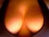 Avatar utente